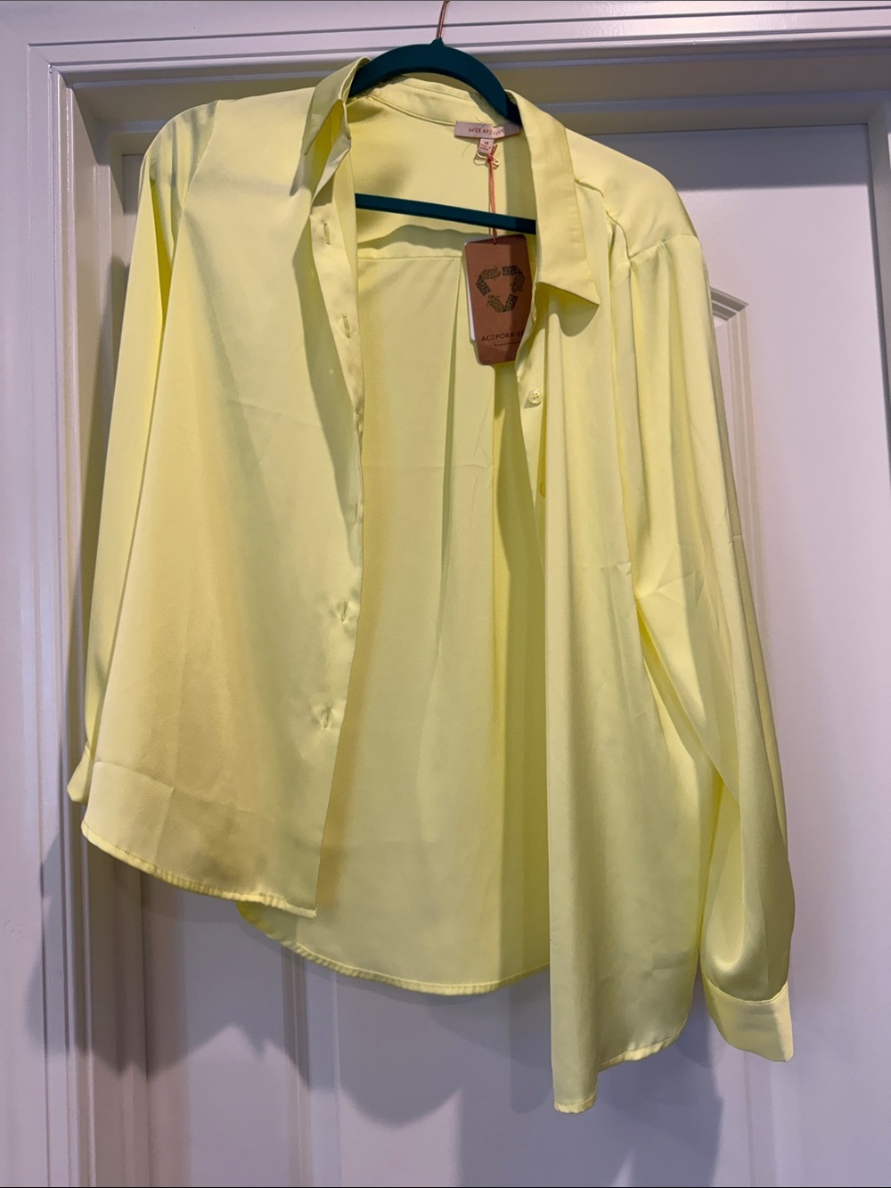 Skies Are Blue Pale Yellow Women's Button-Down Blouse